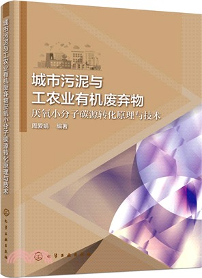 城市污泥與工農業有機廢棄物厭氧小分子碳源轉化原理與技術（簡體書）