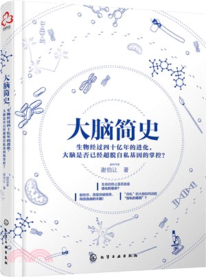 大腦簡史（簡體書）