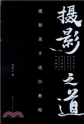 攝影之道：攝影高手進階教程（簡體書）