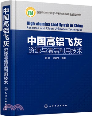 中國高鋁飛灰：資源與清潔利用技術（簡體書）