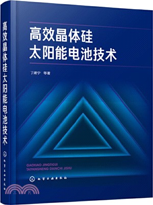 高效晶體矽太陽能電池技術（簡體書）