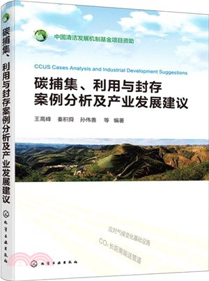 碳捕集、利用與封存案例分析及產業發展建議（簡體書）