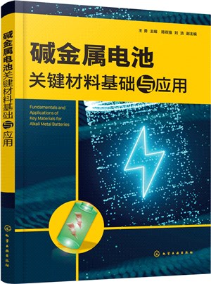 鹼金屬電池關鍵材料基礎與應用（簡體書）