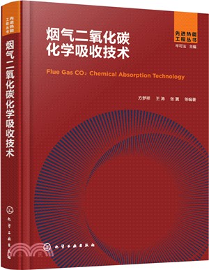 煙氣二氧化碳化學吸收技術（簡體書）