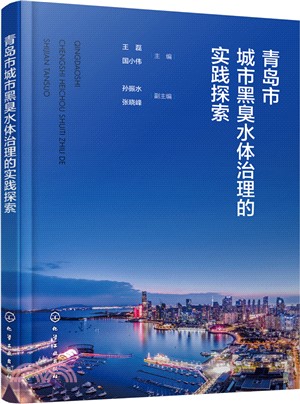 青島市城市黑臭水體治理的實踐探索（簡體書）