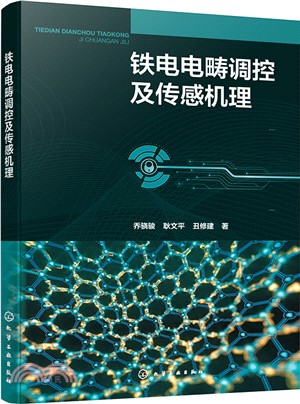 鐵電電疇調控及傳感機理（簡體書）