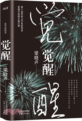 覺醒（簡體書）