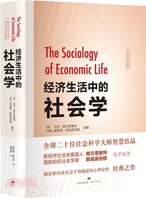 經濟生活中的社會學（簡體書）