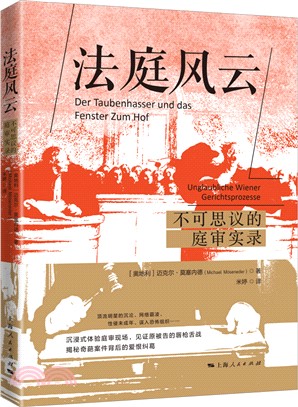 法庭風雲：不可思議的庭審實錄（簡體書）