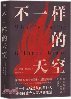 不一樣的天空（簡體書）