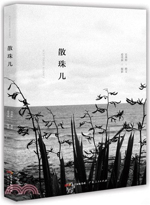 散珠兒（簡體書）