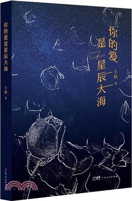 你的愛是星辰大海（簡體書）