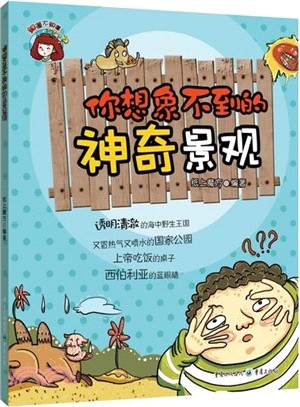 你想像不到的神奇景觀（簡體書）