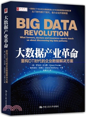 大數據產業革命：重構DT時代的企業資料解決方案（簡體書）