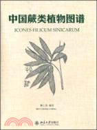 中國蕨類植物圖譜（簡體書）