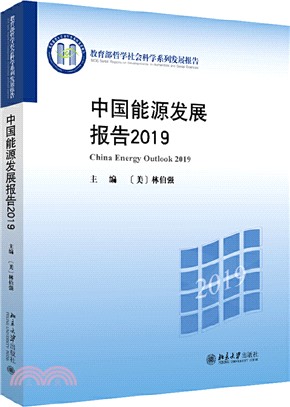 中國能源發展報告2019（簡體書）