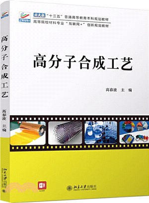 高分子合成工藝（簡體書）