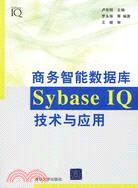 商務智能數據庫SybaseIQ技術與應用（簡體書）