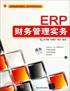 ERP財務管理實務(配光盤)（簡體書）