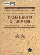 DAMA 數據管理知識體系指南(中文版)（簡體書）
