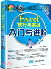 Excel技巧與實戰入門與進階（簡體書）