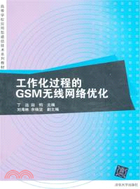 工作化過程的GSM無線網絡優化（簡體書）