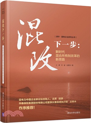 混改下一步：新時代混合所有制改革的新思路（簡體書）