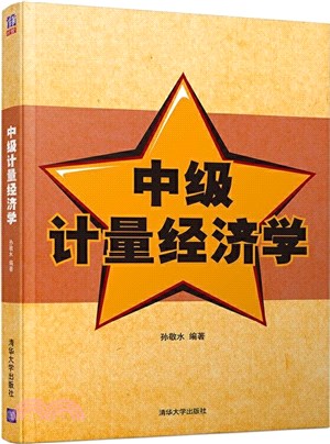 中級計量經濟學（簡體書）