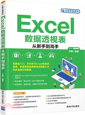 Excel數據透視表從新手到高手（簡體書）