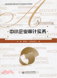 中小企業審計實務（簡體書）