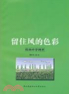 留住風的色彩（簡體書）