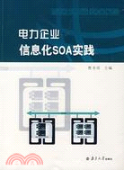 電力企業信息化SOAA實踐（簡體書）