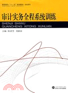 高職高專“十一五”規劃教材-經濟類.財會系列：審計實務全程系統訓練（簡體書）