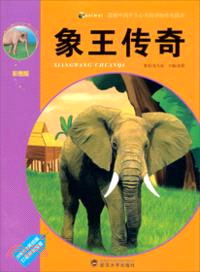 象王傳奇（簡體書）