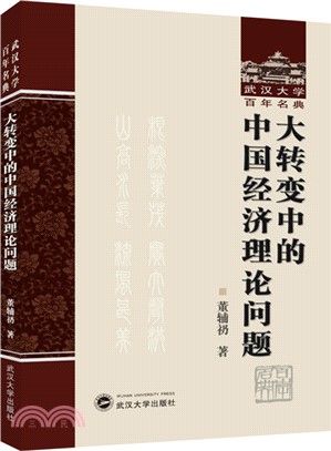 大轉變中的中國經濟理論問題（簡體書）