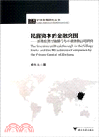 民營資本的金融突圍：浙商投資村鎮銀行與小額貸款公司研究（簡體書）