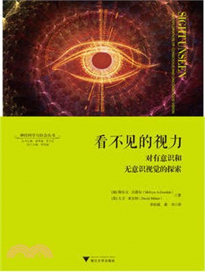 看不見的視力：對有意識和無意識視覺的探索（簡體書）