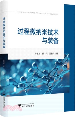 過程微納米技術與裝備（簡體書）