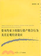 資本約束下的銀行資產組合行為及其宏觀經濟效應（簡體書）