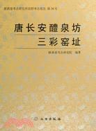 唐長安醴泉坊三彩窯址（簡體書）