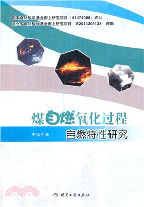 煤自燃氧化過程自燃特性研究（簡體書）