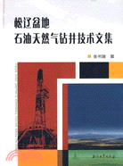 松遼盆地石油天然氣鉆井技術文集（簡體書）