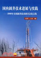 國內固井技術進展與實踐：2008年全國固井技術研討會論文集（簡體書）