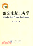 冶金流程工程學(簡體書)