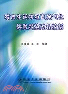 城市生活垃圾直接氣化熔融焚燒過程控制（簡體書）