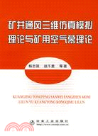 礦井通風三維仿真模擬理論與礦用空氣幕理論（簡體書）