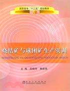 燒結礦與球團礦生產實訓(高職高專)（簡體書）