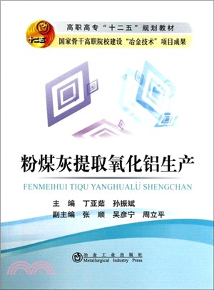 粉煤灰提取氧化鋁生產（簡體書）