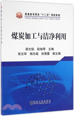 煤炭加工與潔淨利用（簡體書）