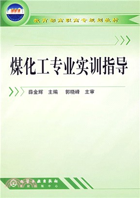 煤化工專業實訓指導(薛金輝)（簡體書）